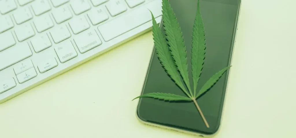 cannabis leaf on a mobile phone next to a keyboard at DankRank dispensary SEO and CBD advertising company.