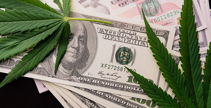 cannabis leaves on US dollars from cannabis seo experts who work at a dispensary marketing agency.